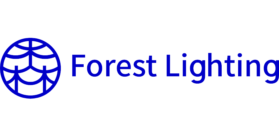 Forest Lighting